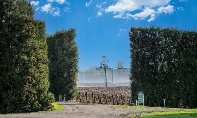 80 Roydon Downs Road Paengaroa_1