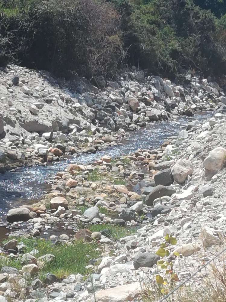 105 Shaggery Road Motueka_18