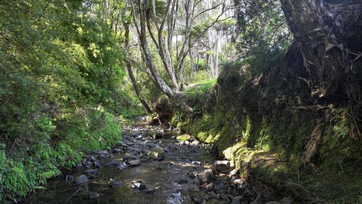 140 Kenana Road Mangonui Surrounds_7