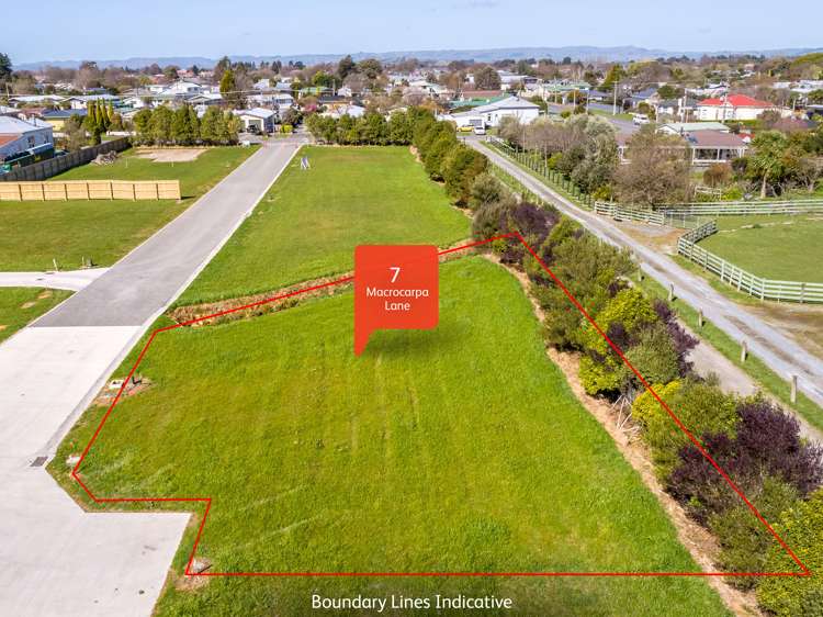 5,7,8a Macrocarpa Lane Carterton_6