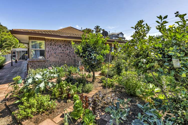 9a Pah Road Cockle Bay_6