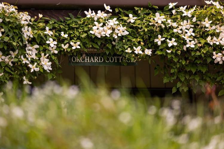 556 Speargrass Flat Road Lake Hayes_17