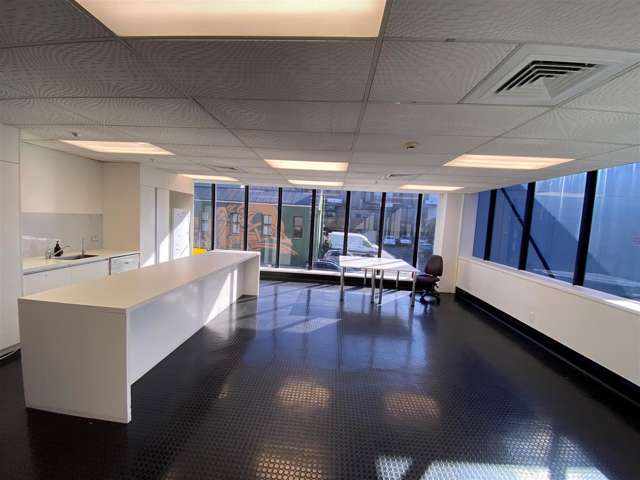 4 Newton Road Grey Lynn_2