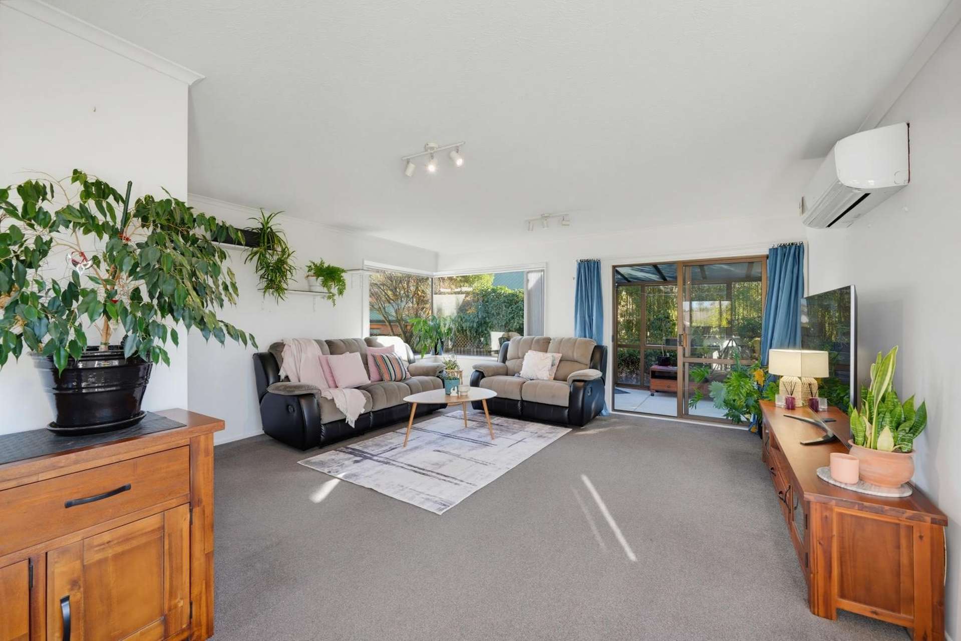 15 Lowry Avenue Redwood_0