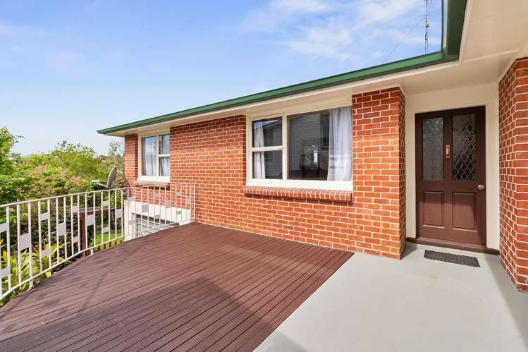 12 Totara Place_1