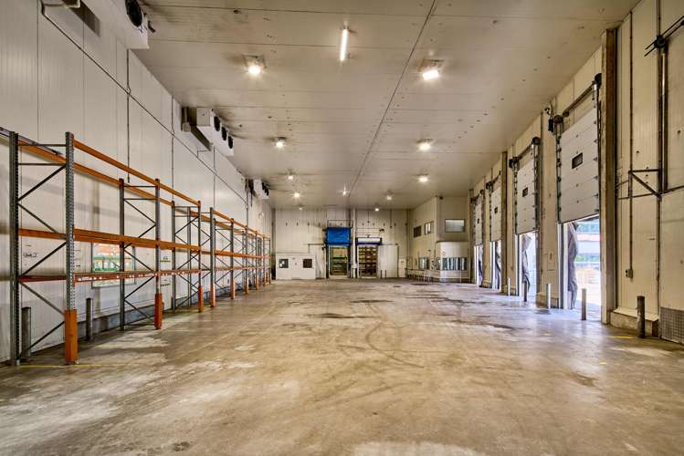 9-11 Matiu Close Elsdon_8