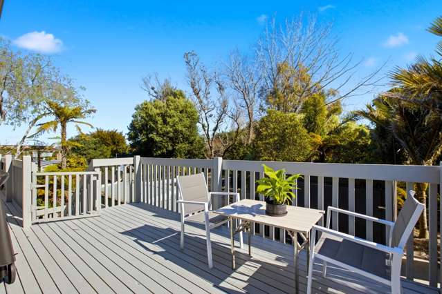 9 Armagh Street Greerton_3