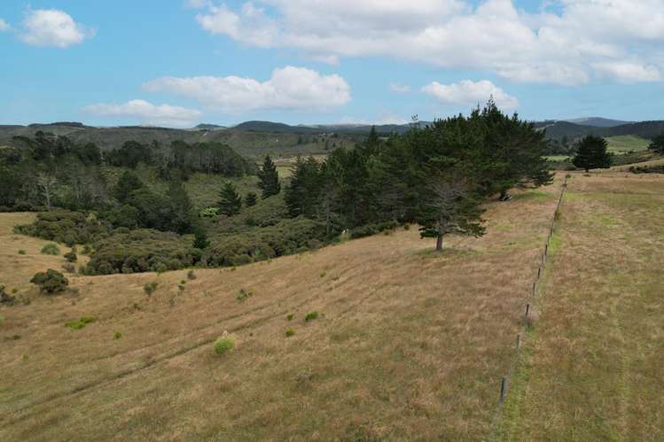 State Highway 12 Dargaville_9