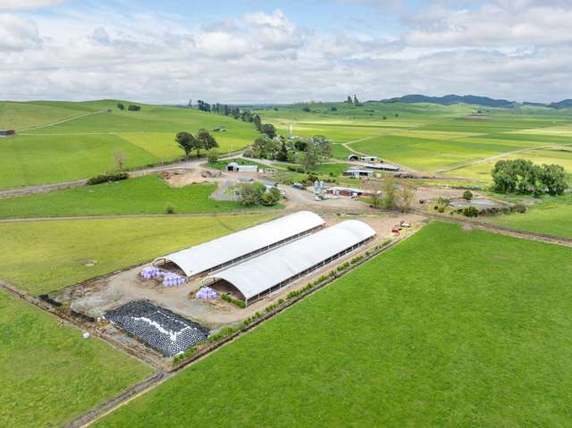 435 and 452 Tainui Road Morrinsville_2