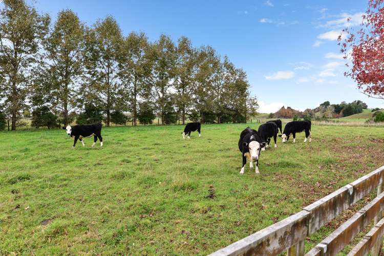 171 Ngaruawahia Road Ngaruawahia_25