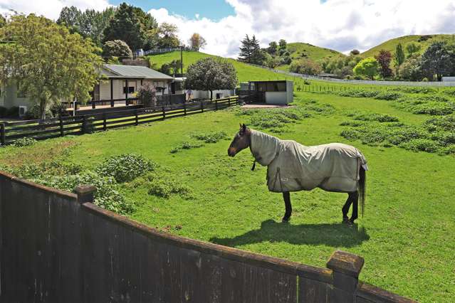 14 Dartmoor Road Puketapu_1