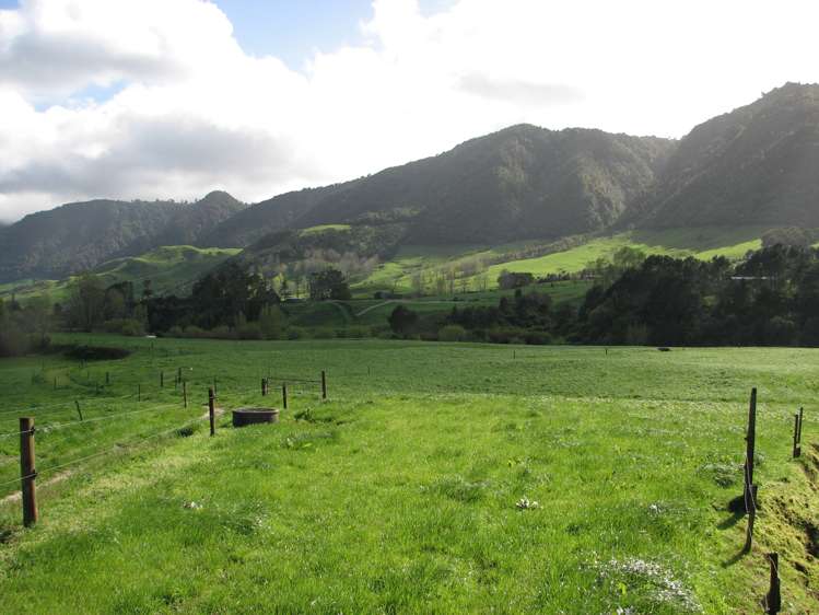 1387 Old Te Aroha Road Okauia_6