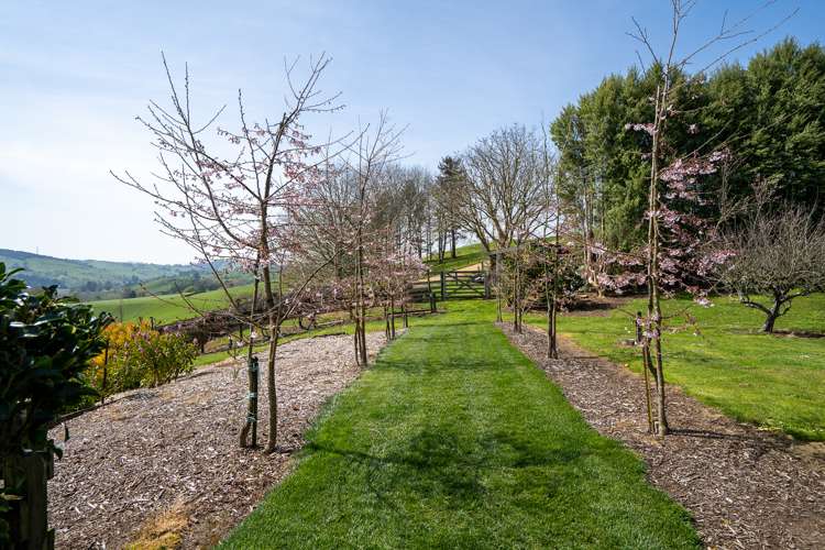 192 Karapiro Road Karapiro_23