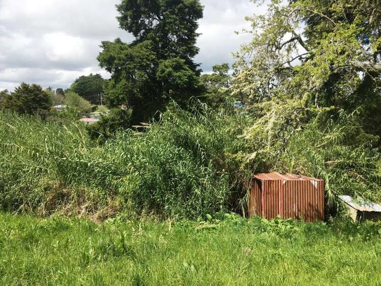 53 Albert Street Kawakawa_13