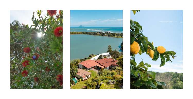 11 and 11A Kuaka Lane Ohiwa_35