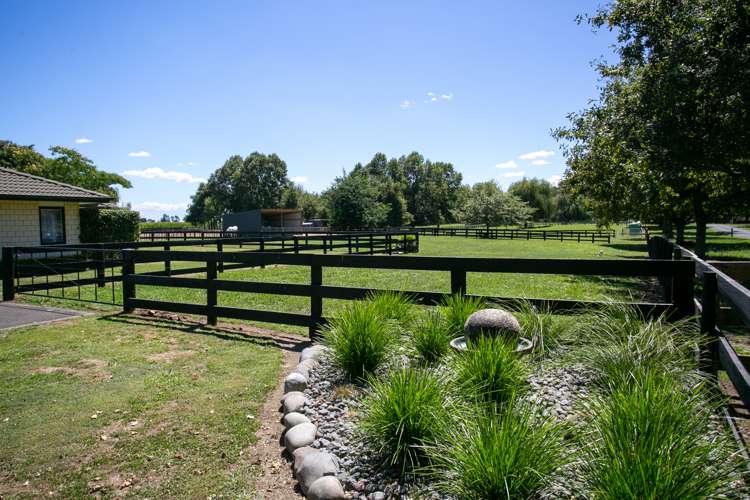 362c Pickering Road Tamahere_16