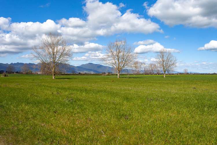 O'Donoghue Road Hauraki Surrounds_8