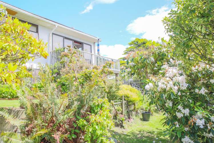 46 Walker Street Bluff_17