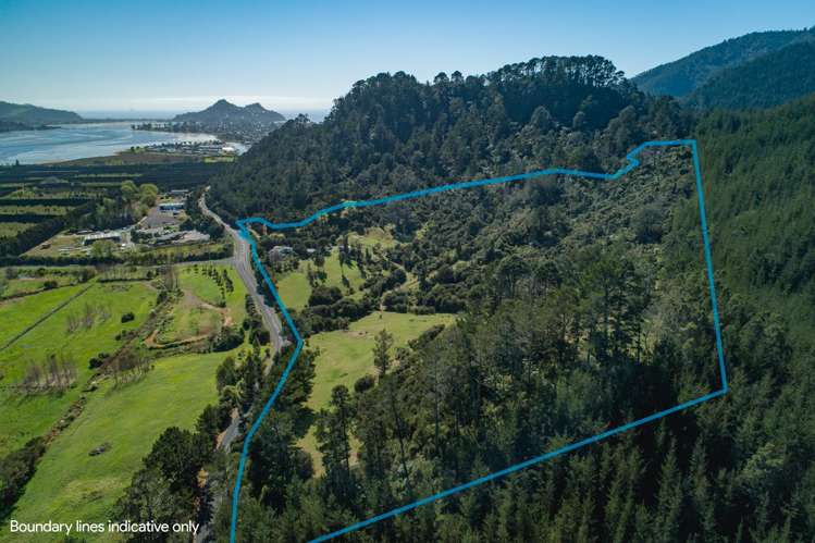 896A Hikuai Settlement Road Pauanui_0