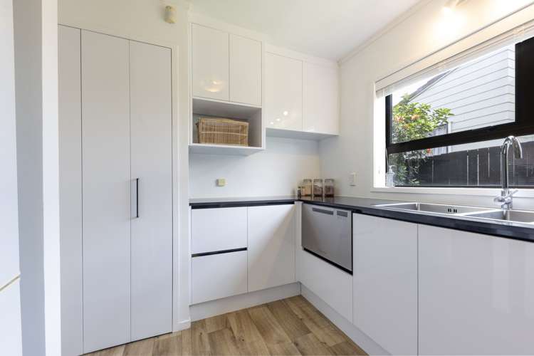 221g Mount Smart Road Onehunga_9