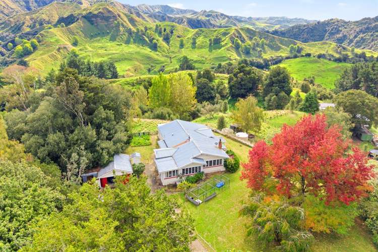 3499 State Highway 4 Kakatahi_23