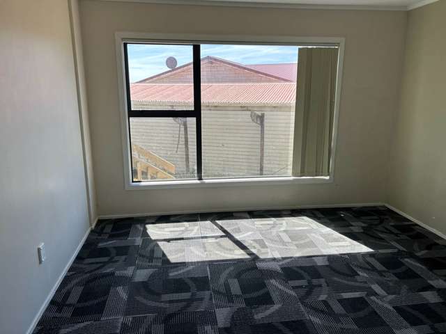 Matthews Road Flat Bush_3