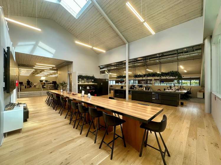 24 Balfour Road Parnell_7