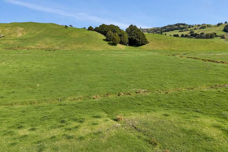 282B Callaghan Road Maromaku_38