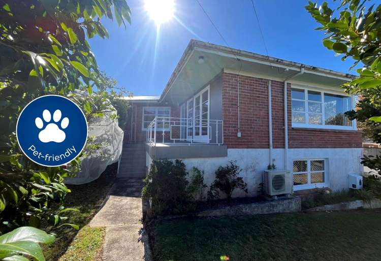 75a Namata Road One Tree Hill_0