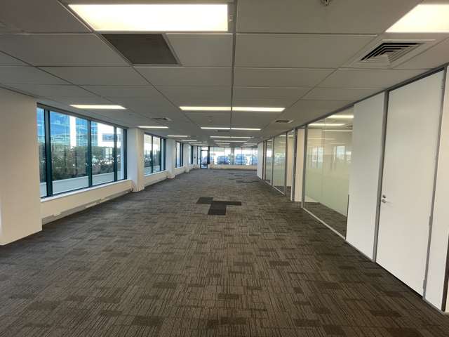 101 Carlton Gore Road Newmarket_2