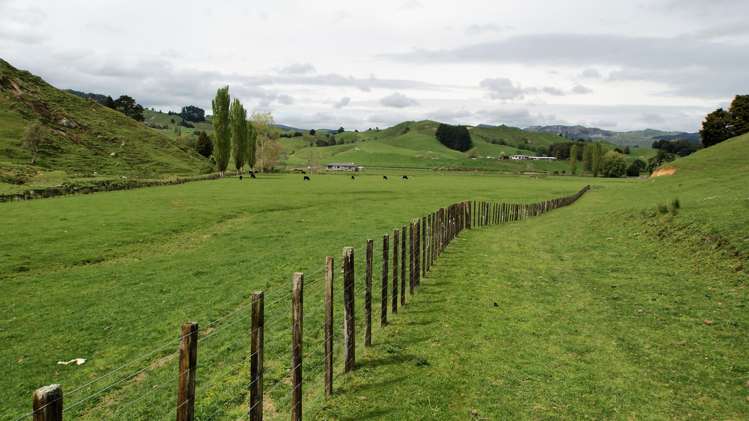 450 Ramaroa Road Aria_5