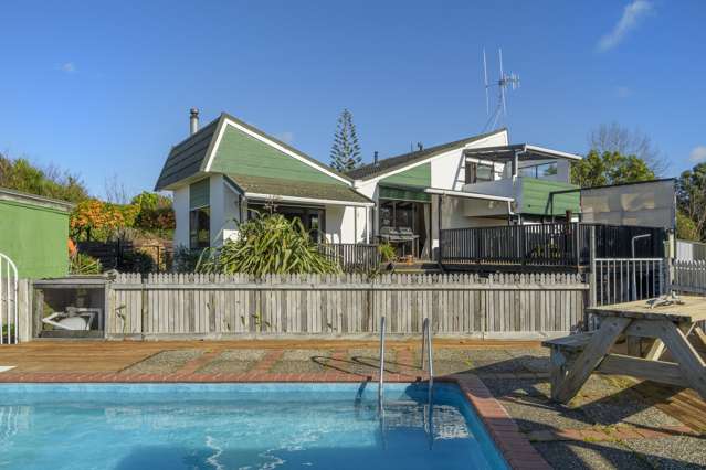 4 Washer Place Te Puke_1