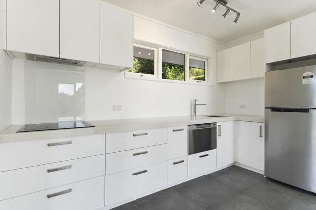 17A Kohu Road Titirangi_1