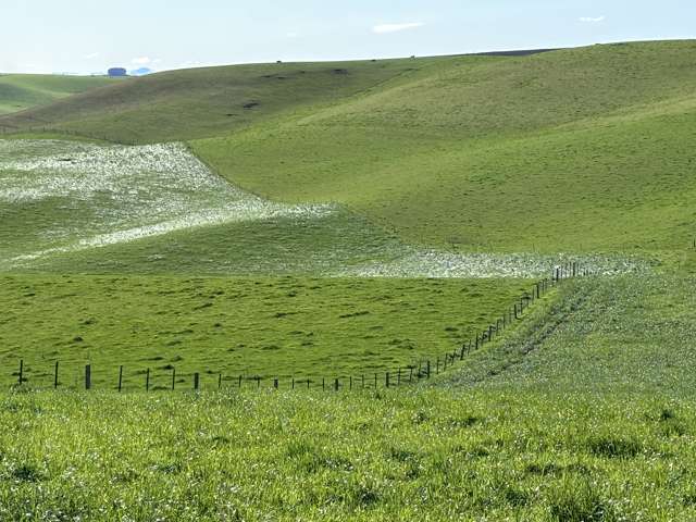 Round Hill Road Oamaru_4