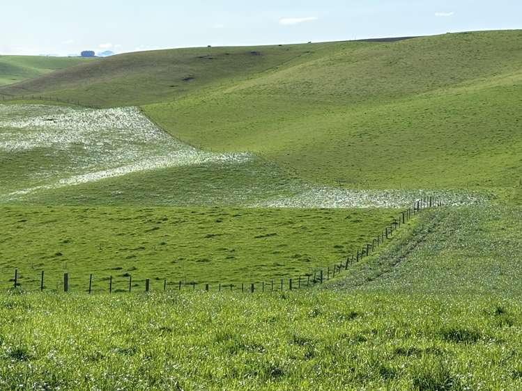 Round Hill Road Five Forks and Surrounds_4