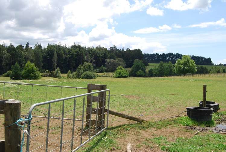 1027c Highway 22 Pukekawa_3