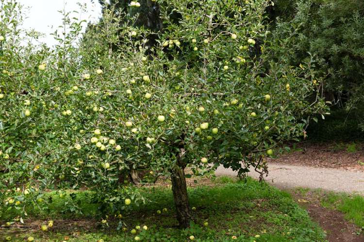 Maruata Road Maungatapere_3