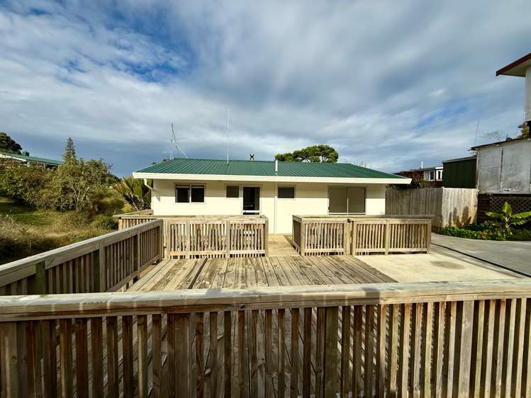 7B Rose Street Raglan_33