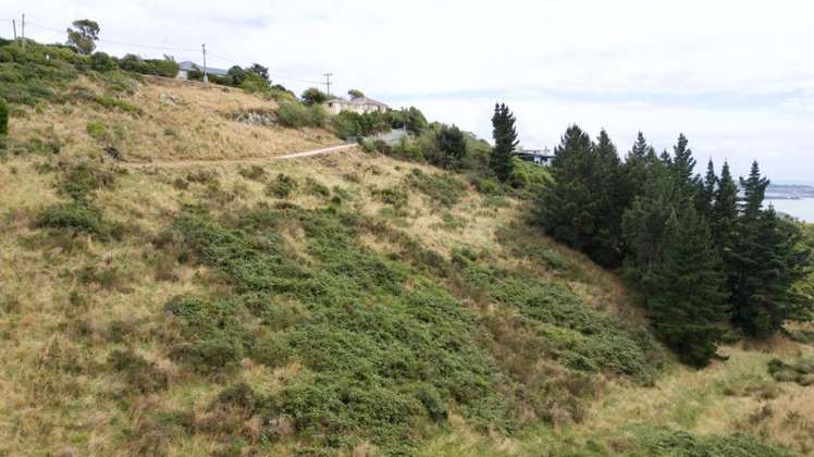 271 Mount Pleasant Road Mount Pleasant_3