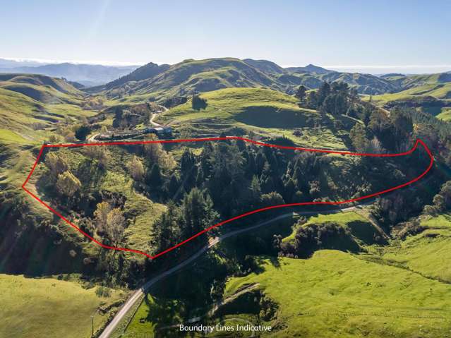 593A Kaka Amu Road Masterton_2