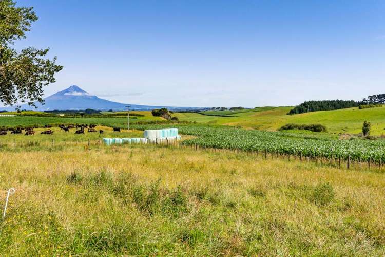 150 Wirihana Road Hawera_18