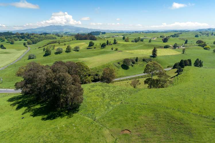 Waotu Road Putaruru_16