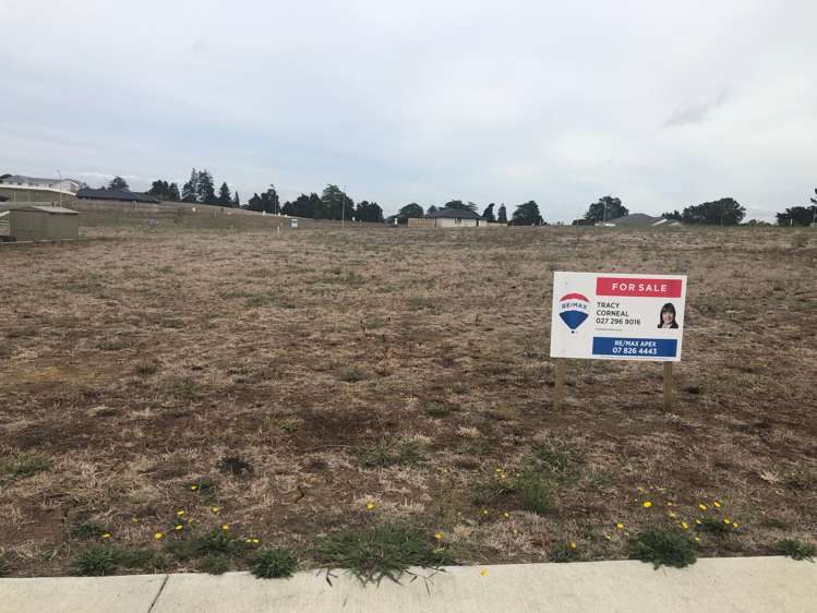 Swan Road Te Kauwhata_12