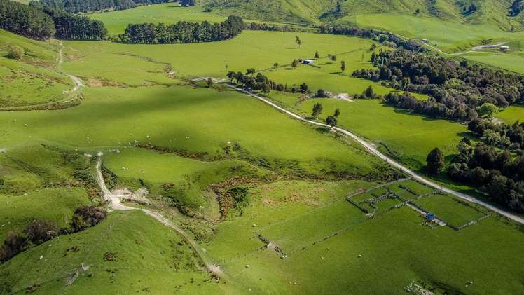 1614 Hinemoa Valley Road Pahiatua_7