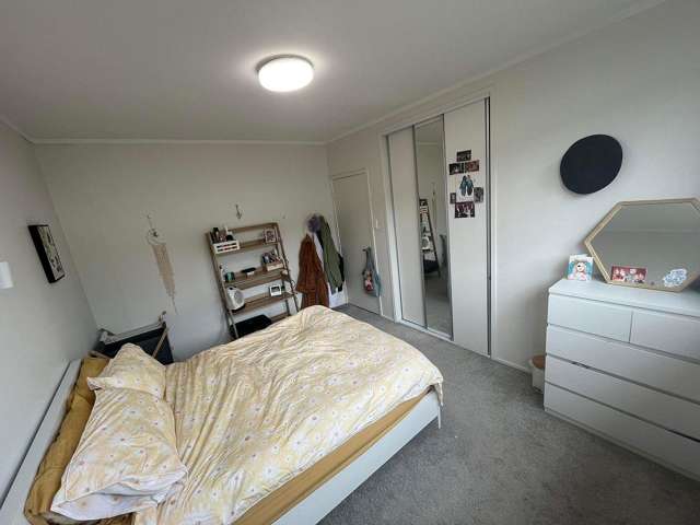 2/211 Manukau Road Epsom_1