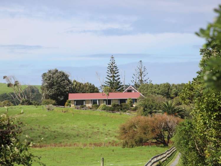 817 Baylys Coast Road Dargaville Surrounds_6