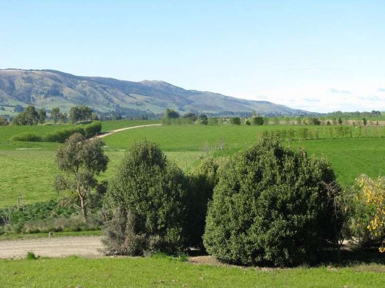 369 Black Gully Road West West Otago Surrounds_7