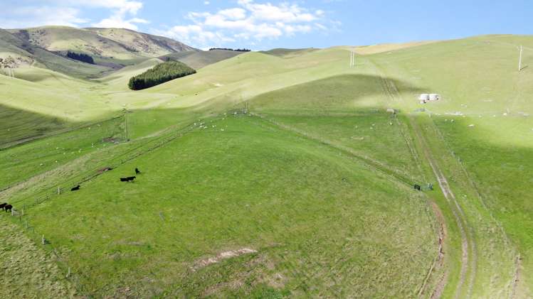 35 Andrew Street Allenton_8