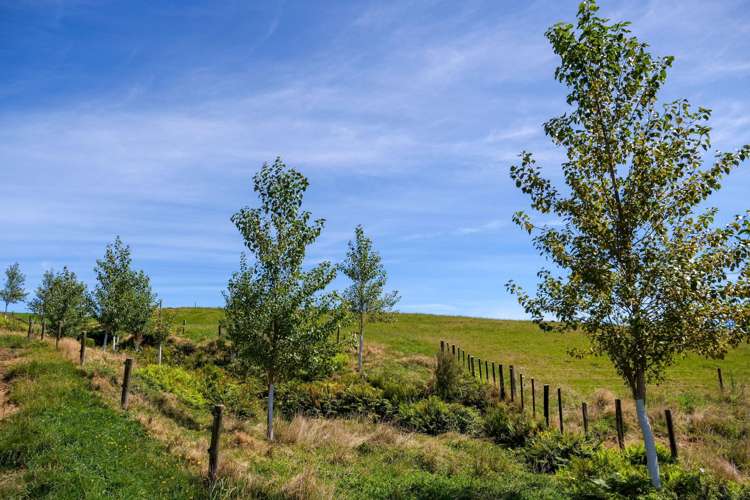 530 Soldiers Road Lower Kaimai_10