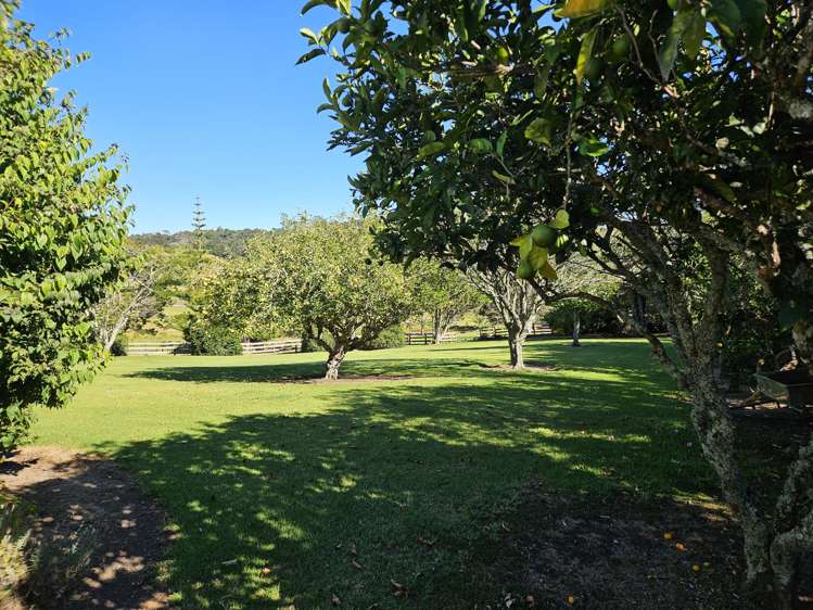 25 Hawkes Access Road Waitoki_22